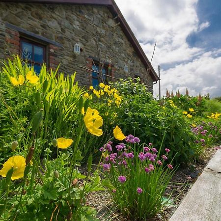 Tyn Rhos Country House Caernarfon Dış mekan fotoğraf