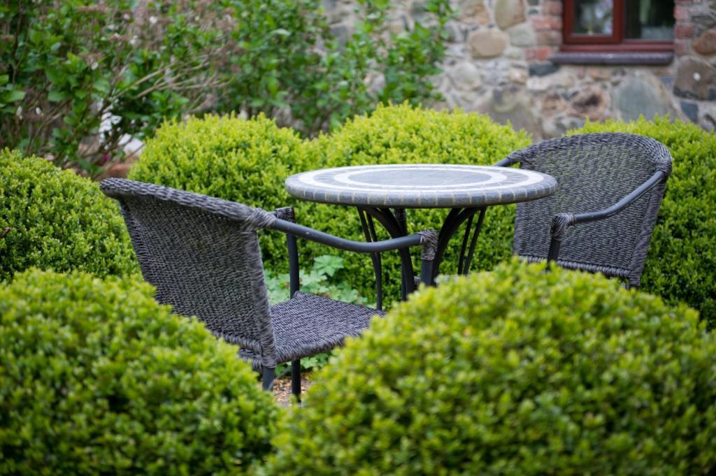 Tyn Rhos Country House Caernarfon Oda fotoğraf